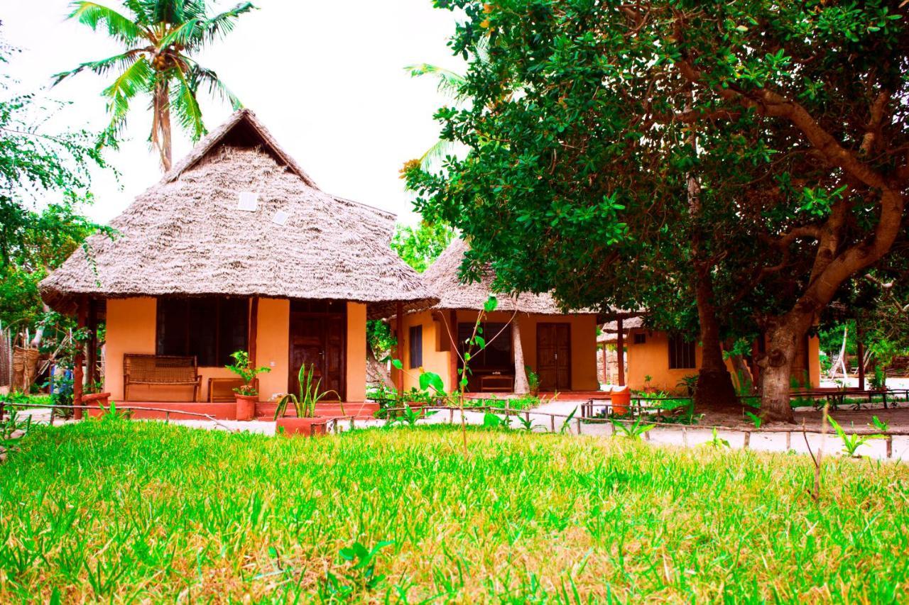 Bed and Breakfast Afro Whale Shark Safari à Kilindoni Extérieur photo