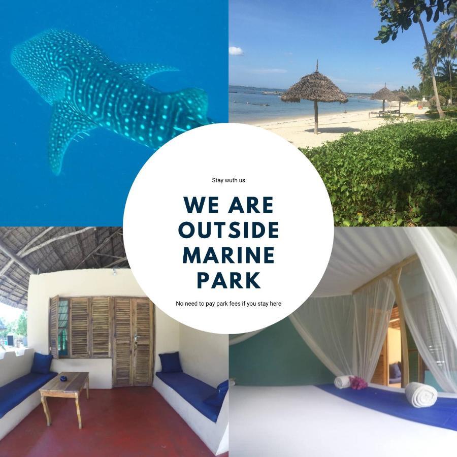 Bed and Breakfast Afro Whale Shark Safari à Kilindoni Extérieur photo