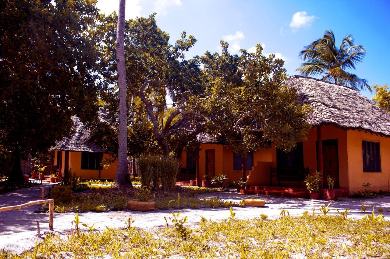 Bed and Breakfast Afro Whale Shark Safari à Kilindoni Extérieur photo