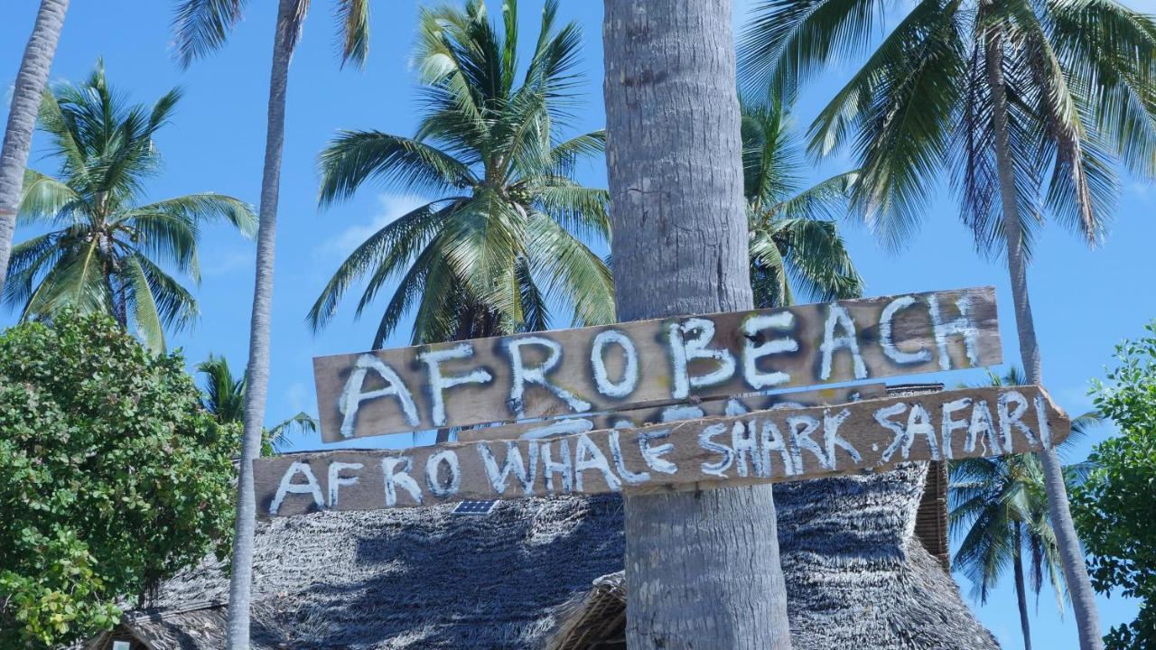 Bed and Breakfast Afro Whale Shark Safari à Kilindoni Extérieur photo