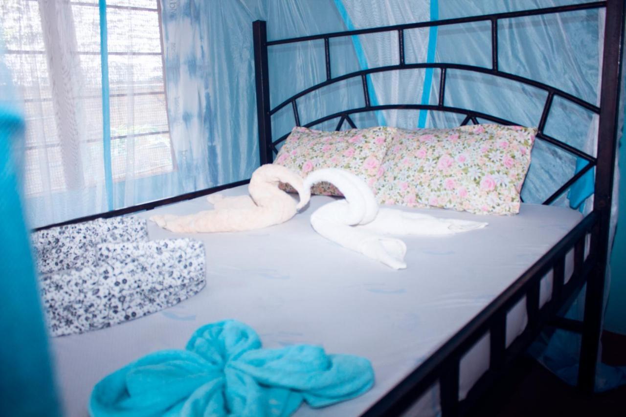 Bed and Breakfast Afro Whale Shark Safari à Kilindoni Extérieur photo